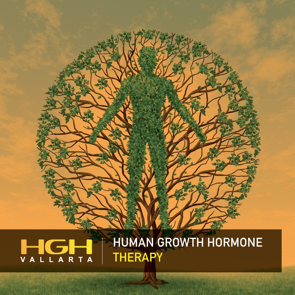 Read more about the article Human Growth Hormone Therapy
