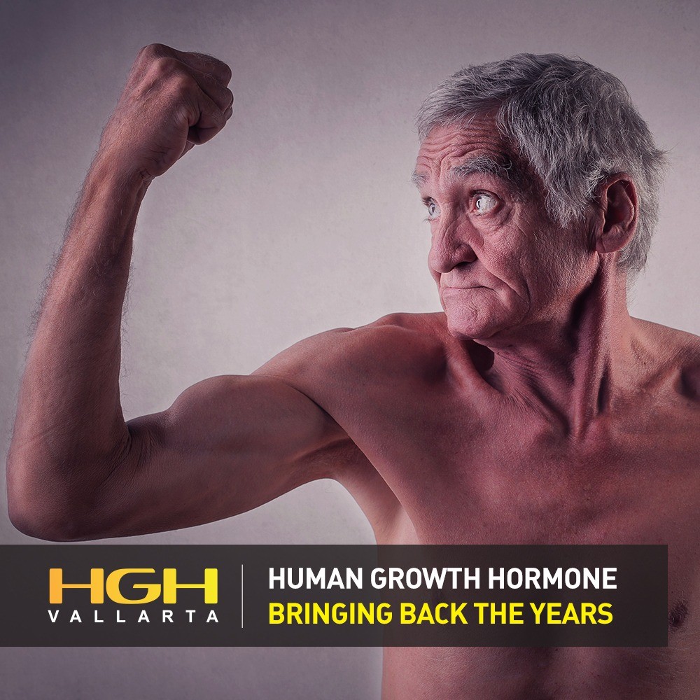 Read more about the article The Importance of HGH for Adults